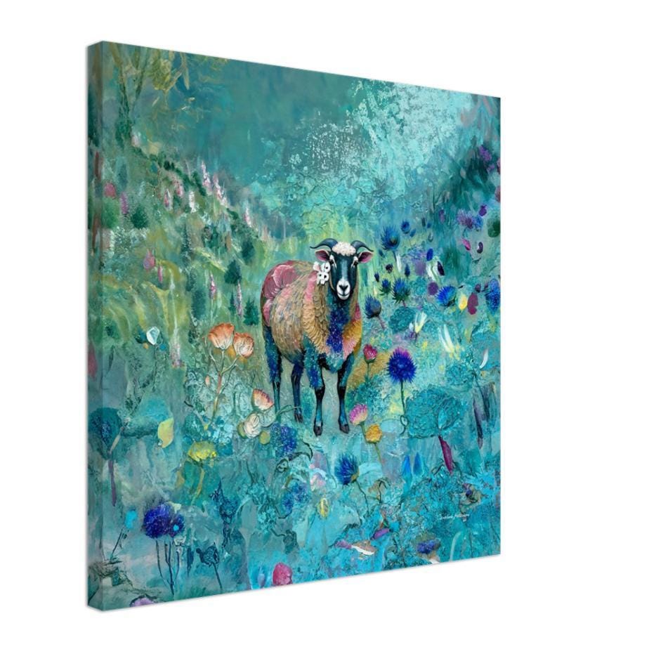 Scottish Blackface Sheep Canvas Print: Turquoise Highland Art