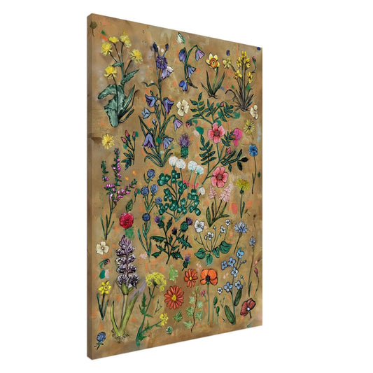 Botanical Canvas Print: Hand Drawn British Wildflowers, UK Art